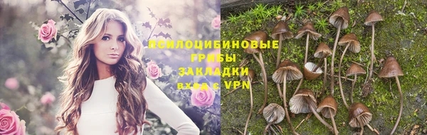 a pvp Семилуки