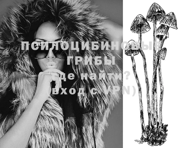 соль ск Вязники