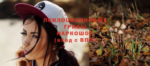 соль ск Вязники