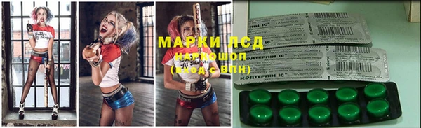 PSILOCYBIN Вязьма
